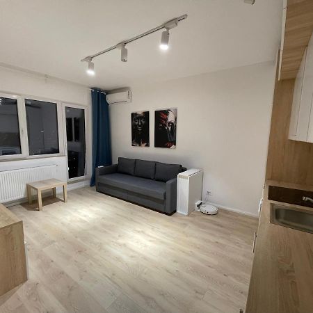 Treasure Luxury Apartment Palace Бухарест Экстерьер фото